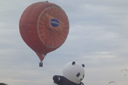 Balloon-Flight-2012-Sunkist-Panda